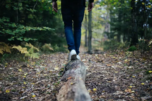A person hiking on a trail in the woods.